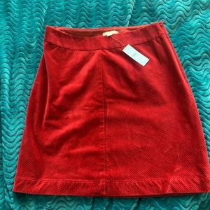 Never Worn LOFT Skirt